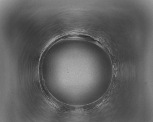 X0000057580196200509231300