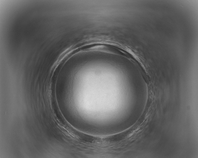 X0000057580199200509231300