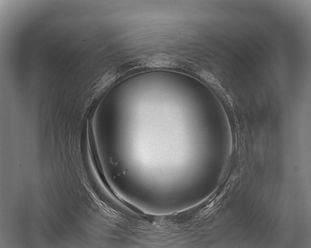 X0000057580201200509231300