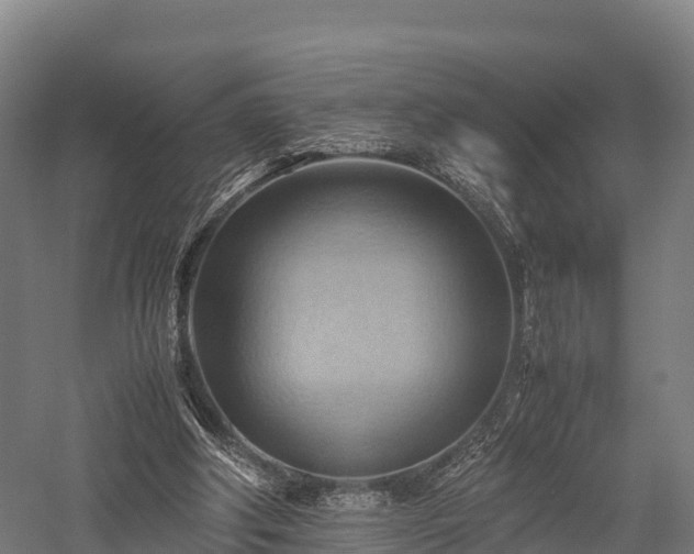 X0000057580202200509231300