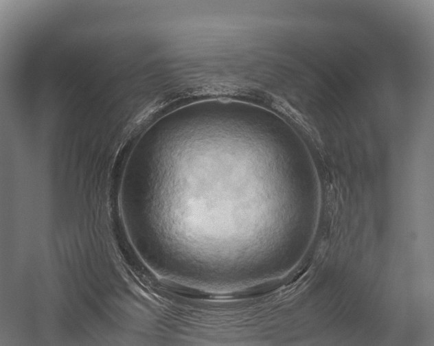 X0000057580203200509231300