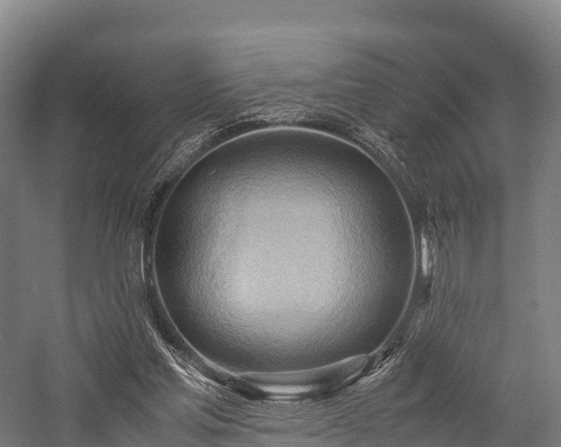 X0000057580205200509231300