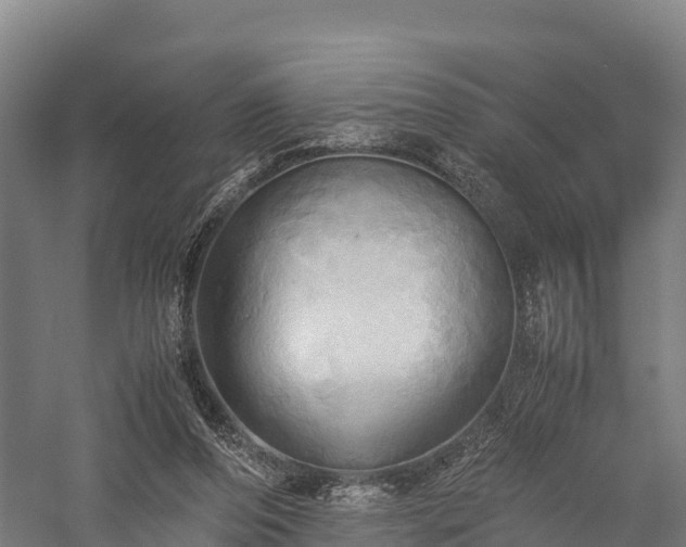 X0000057580208200509231300