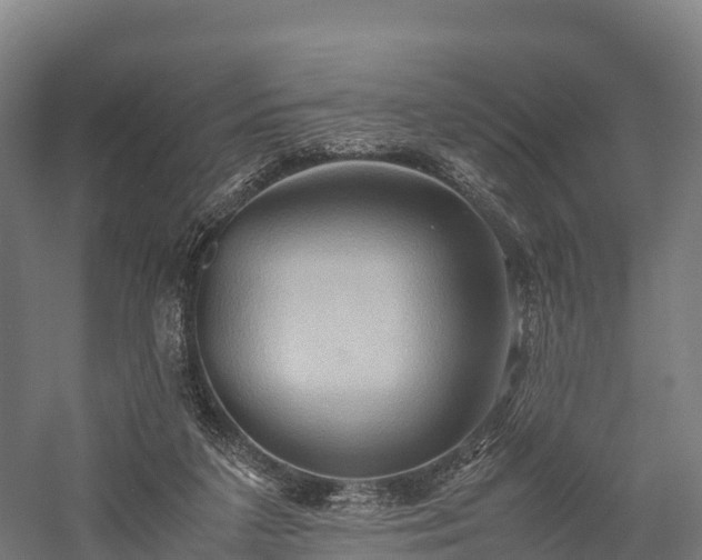 X0000057580211200509231300