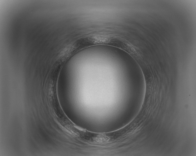 X0000057580215200509231300