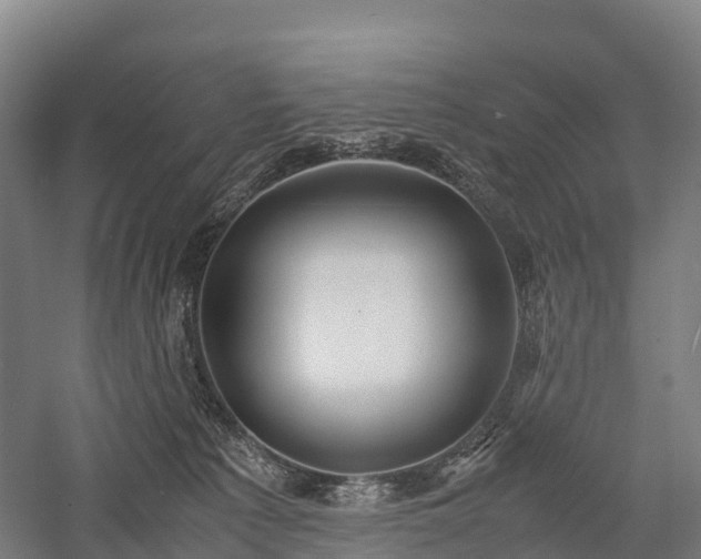 X0000057580225200509231300