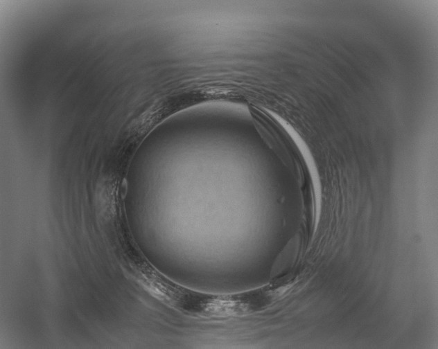 X0000057580227200509231300