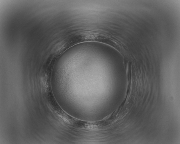 X0000057580228200509231300