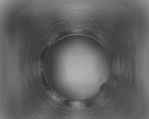 X0000057580230200509231300