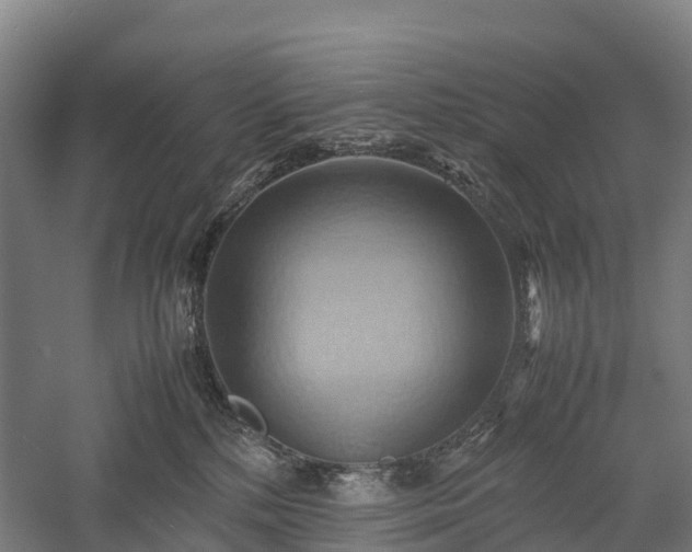 X0000057580232200509231300