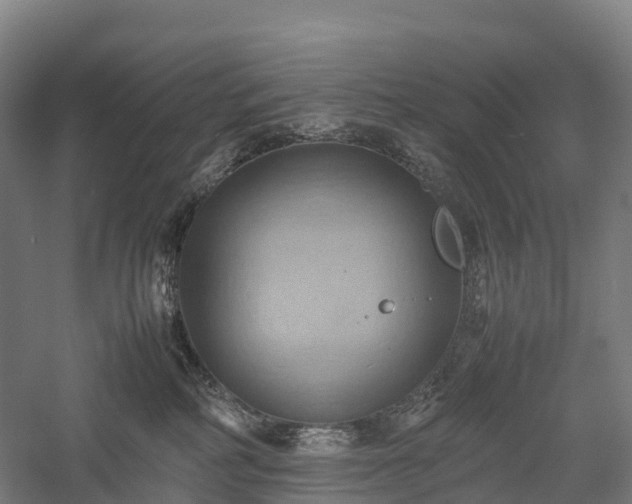 X0000057580234200509231300