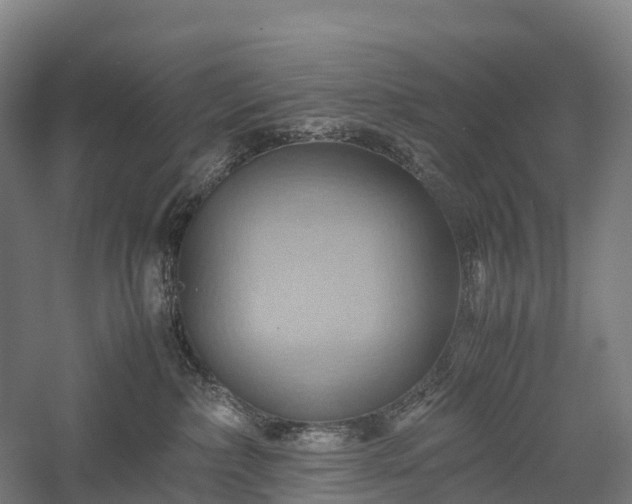 X0000057580236200509231300