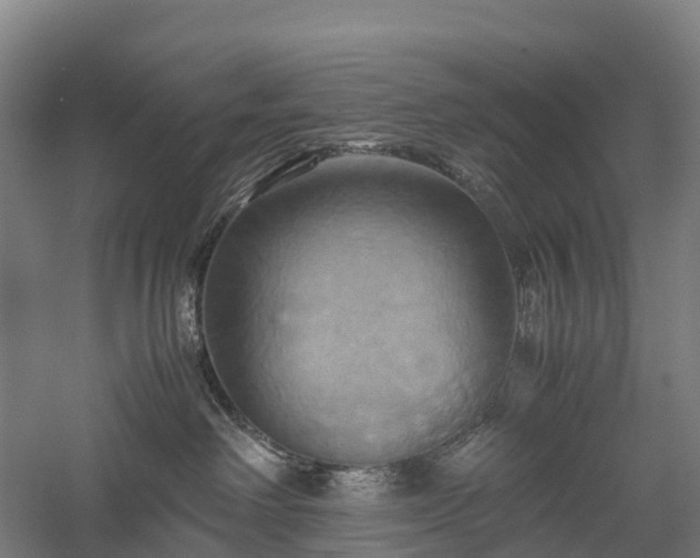 X0000057580238200509231300