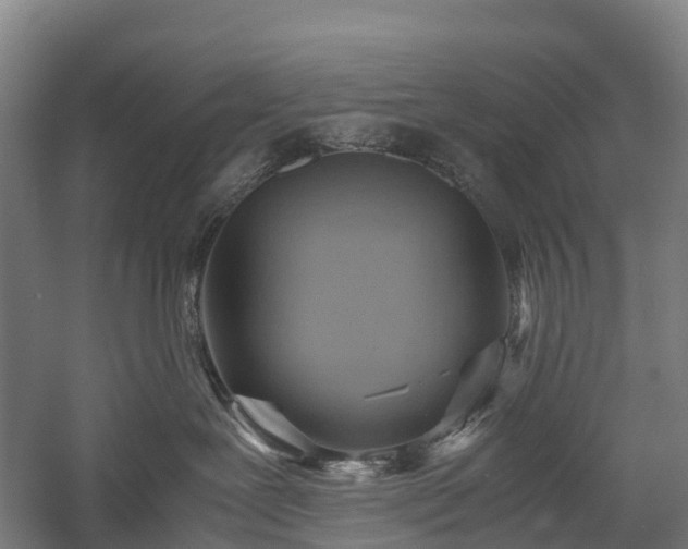 X0000057580239200509231300