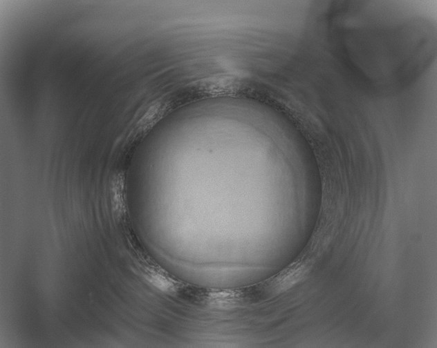 X0000057580240200509231300