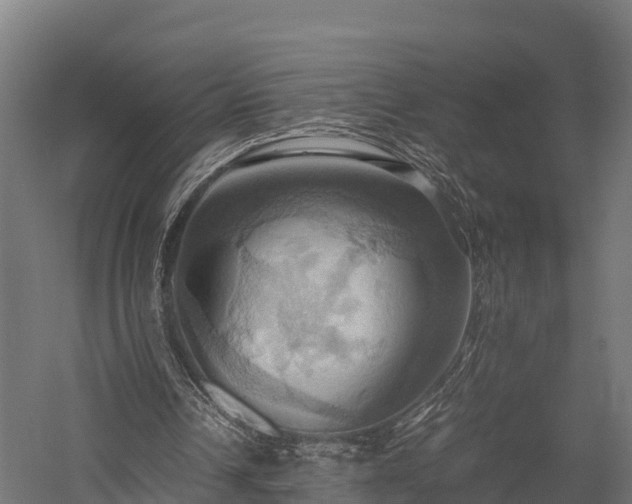 X0000057580242200509231259