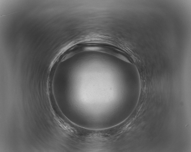 X0000057580244200509231259