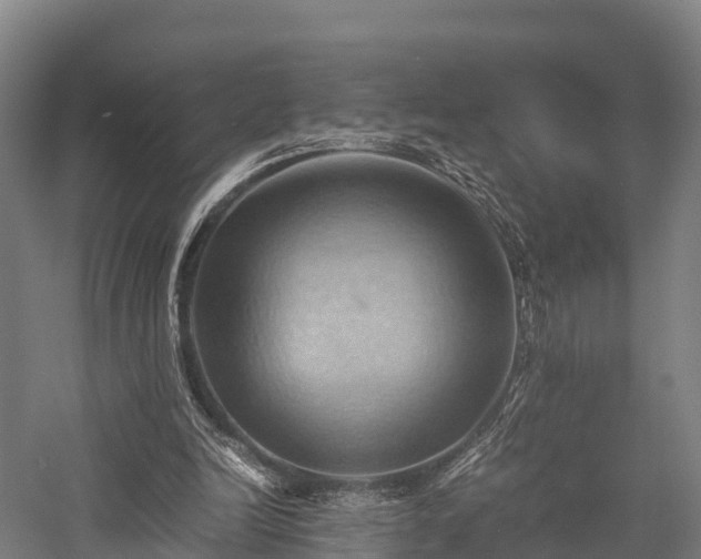 X0000057580246200509231259