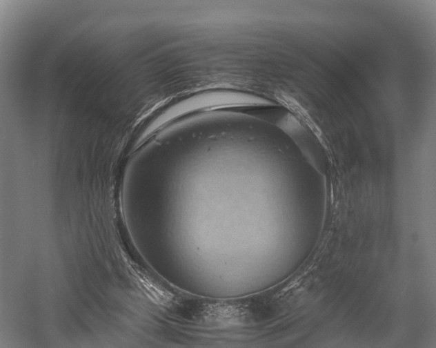 X0000057580249200509231259