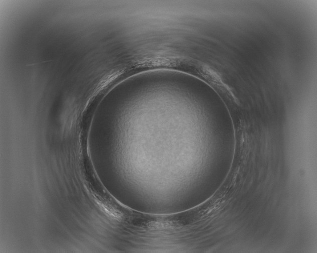 X0000057580250200509231259