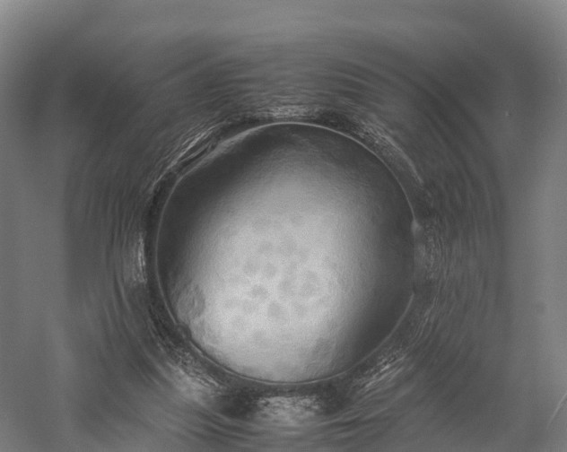 X0000057580251200509231259