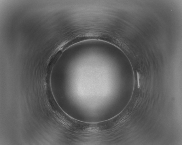 X0000057580252200509231259