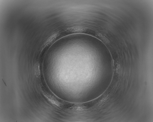 X0000057580254200509231259