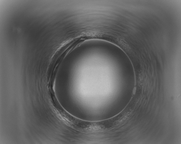 X0000057580256200509231259