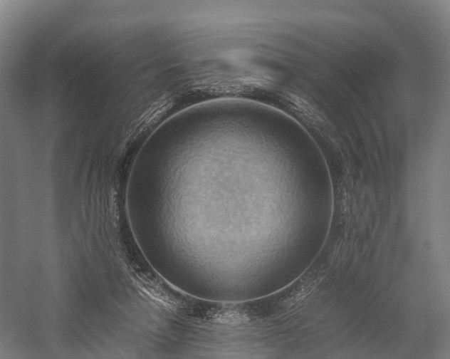 X0000057580258200509231259