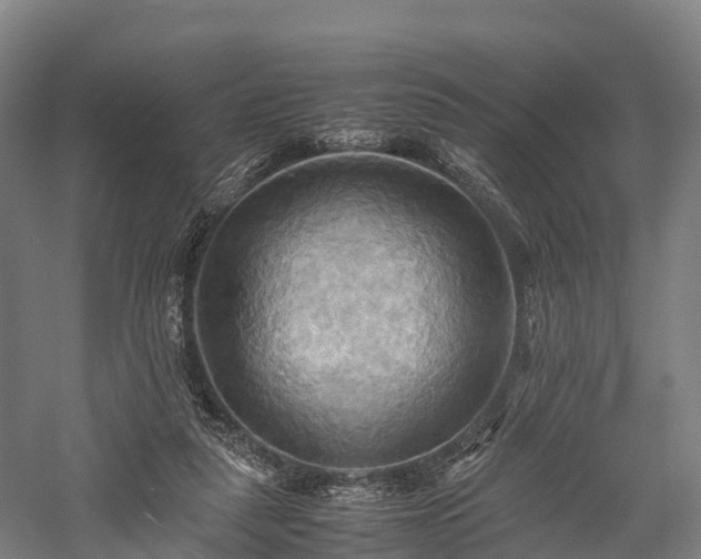 X0000057580259200509231259