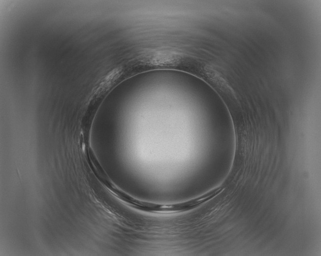 X0000057580260200509231259