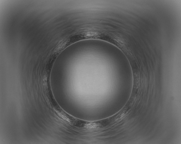 X0000057580269200509231259