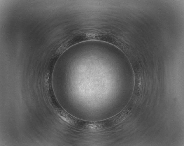 X0000057580275200509231259