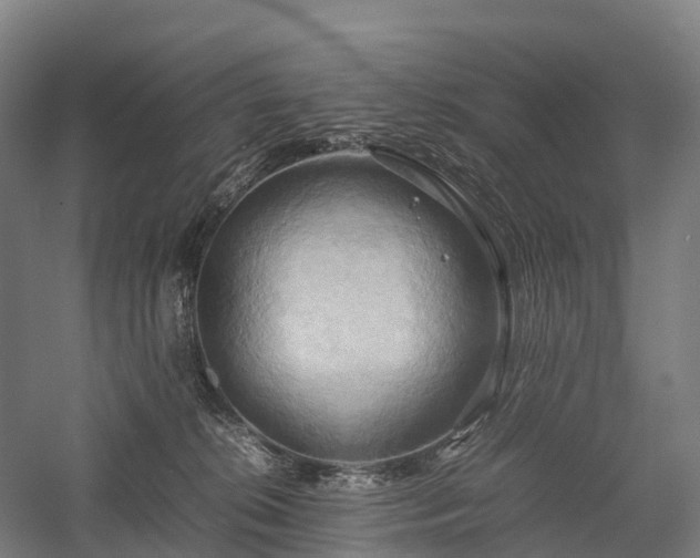 X0000057580276200509231259