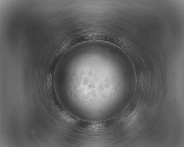 X0000057580278200509231259