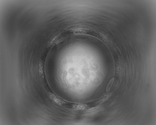 X0000057580282200509231300