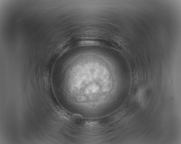 X0000057580283200509231300