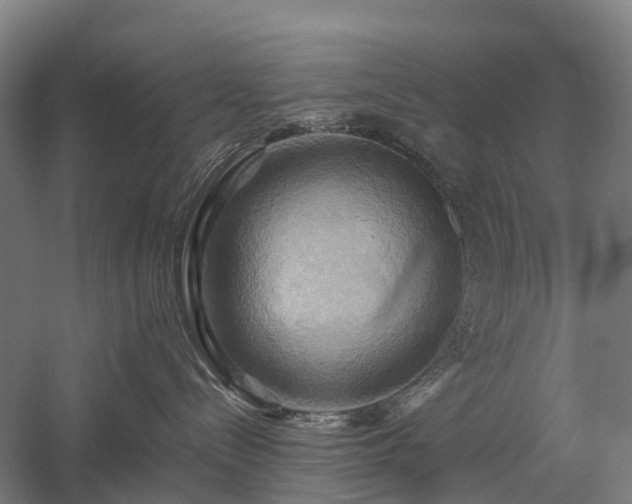 X0000057580288200509231300