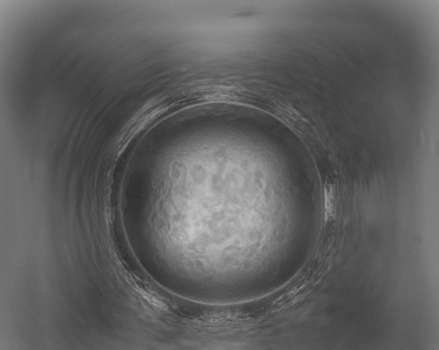 X0000057580291200509231259