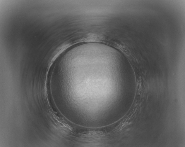 X0000057580292200509231259