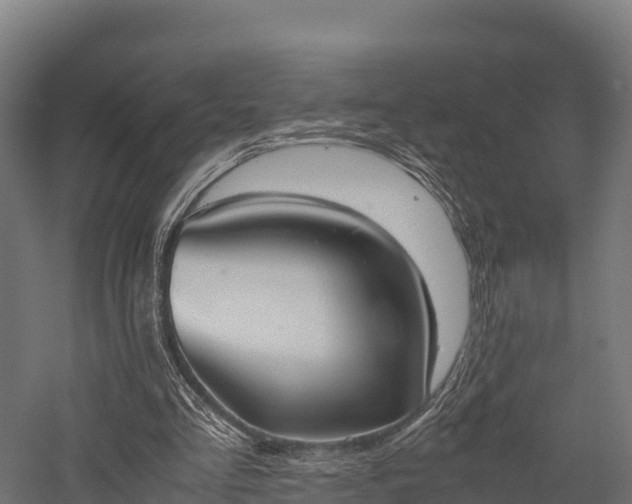 X0000057580293200509231259