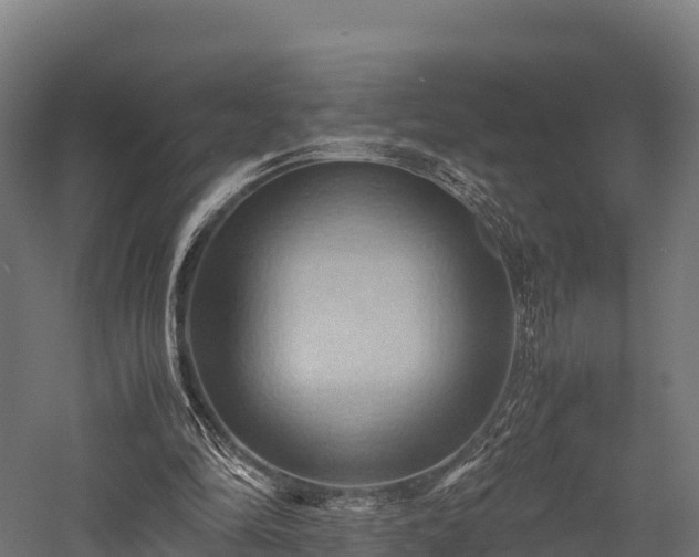 X0000057580294200509231259