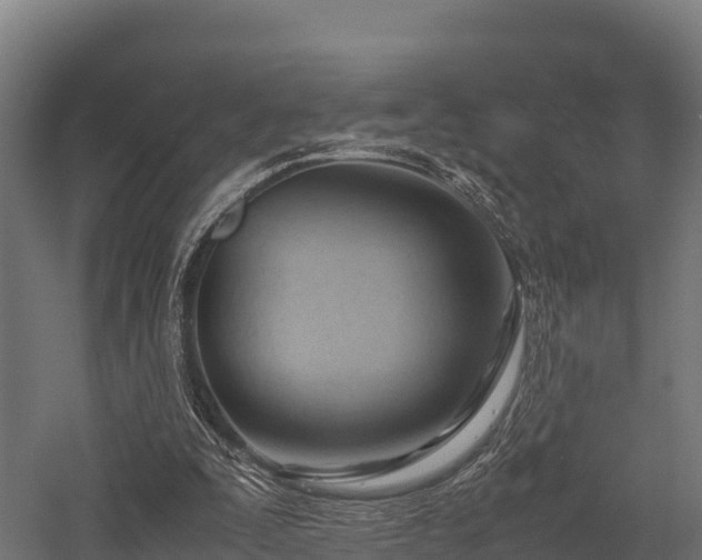 X0000057580295200509231259