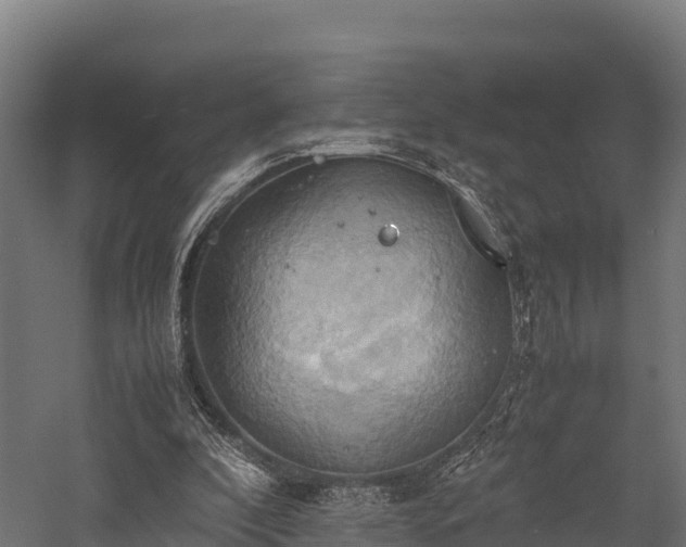 X0000057580296200509231259