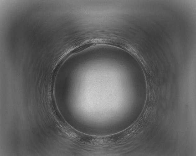 X0000057580297200509231259