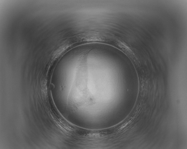 X0000057580298200509231259