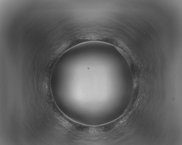 X0000057580305200509231259