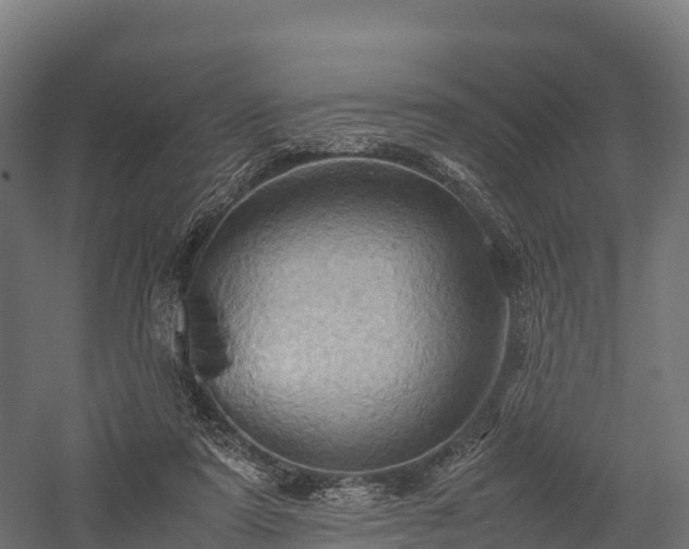 X0000057580307200509231258