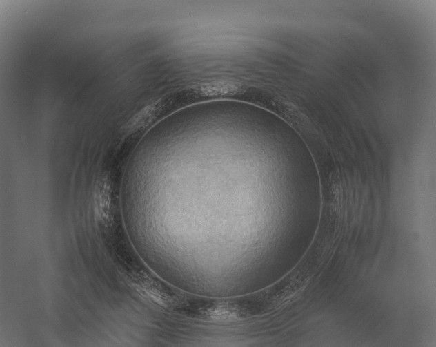 X0000057580308200509231258