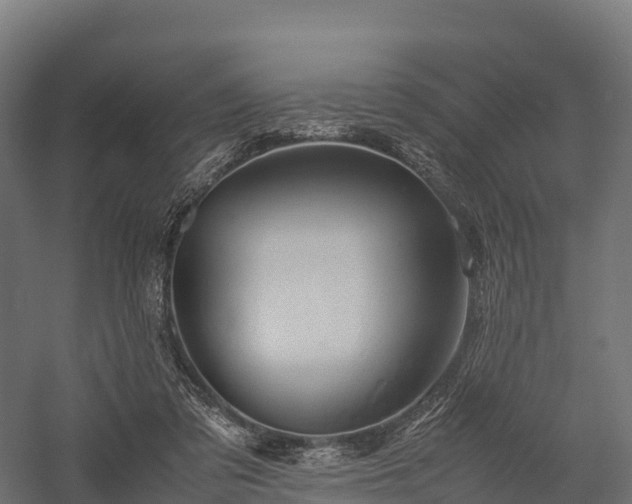 X0000057580309200509231258